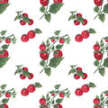 Image Not Available